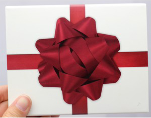 SilverTowne Gift Box with Maroon Bow Box Sleeve